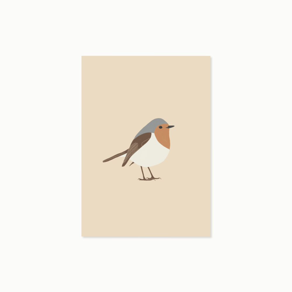 Rotkehlchen | Postkarte