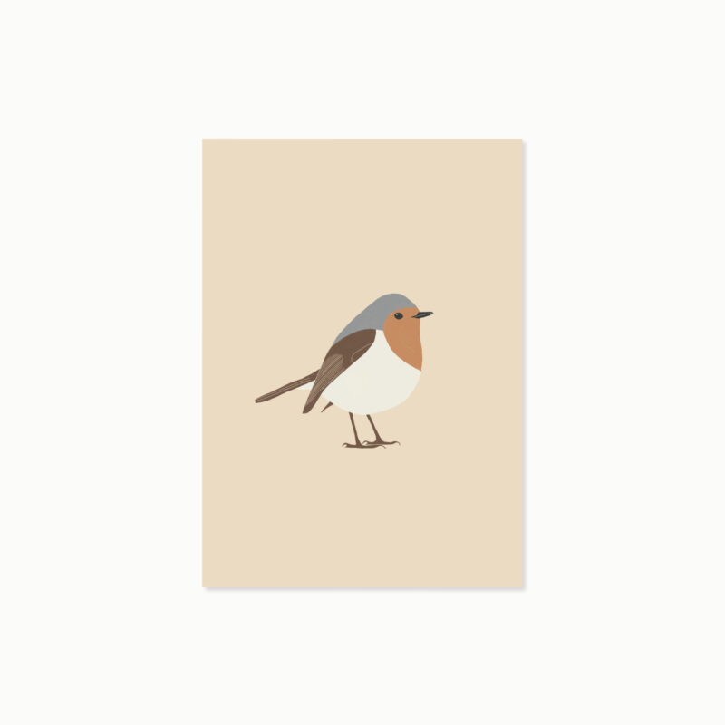 Rotkehlchen | Postkarte